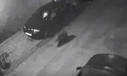 ������ ���������� �� ������ �� ���� � �����������
