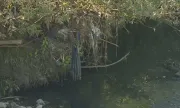 ������ ��������� ������� ������ � ��������� ����� ���������