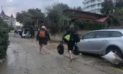   ,     ,    