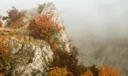 ������ ������� ����, �������� �� ����������, 26 ��������: ����� ��������, �� ����� �� ���� 