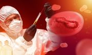 СЗО възнамерява да преименува маймунската шарка