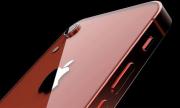 Евтин iPhone: Ще има ли такова животно?