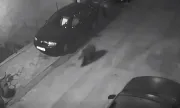 ������ ���� ���� �� ������� �� �����������