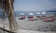 ������ ������������ �� 4.2 �� ������ �������� ������� ������������ ����� ����������