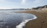 ������ ���������� ���� �� �������� ��������� ���������� �� ���