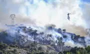      ,    