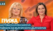 ������ ��������� ��� �� ����� ������� ������ �� ����������