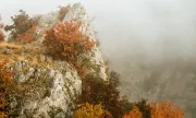������ ������� ����, �������� �� ������, 25 ��������: ����� ������, ������ �������� 