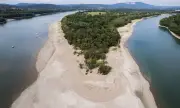 ������ ������ ��������: ������ ���������� �� ���� �����