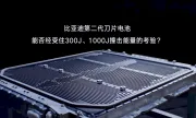 ������ BYD ��������� ������������ ���������� �� ��������� �� ���������