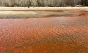 ������ ������� ���-������ ��������� ���������� ��� ���������� ���� � ������������ ������ (�����)