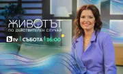 ������ ����� ����������� �� ������� �� ����� � �������� �� ������������ ������