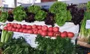 Спекулата се бори с по-голямо предлагане на стоки, а не с повече чиновници