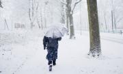 Снежен ужас в Германия! Смърт и отменени полети