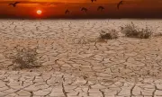 ������ �������� ���������! �������� ����� ��� ������� ���� �� ������� �� 15 ����. ����