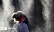������ ������ ��� �������� ��������: ������� ������, ������ �� ����������� ����� � ��������� �������