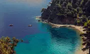 ������ ���� ����� �������� � ���� ������ ����� �� ������ ������