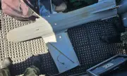 ������ ��� ��������� ���� ���� ������� 