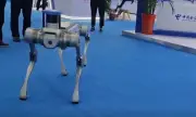 Представиха летящо куче робот 