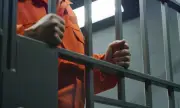 ������ ���������� �� ����� �47 ������ ���� ������ �� 2,5 ������ ������ � 11 ������� ������ ����������� 