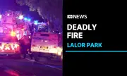 Три деца загинаха при подозрителен пожар в Сидни ВИДЕО