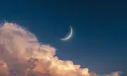      21  2025 .: ,      