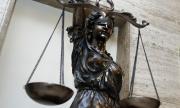 Започва делото за Царските конюшни