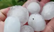 Градушка е нанесла щети в доспатското село Любча