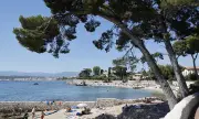������ ������� � ��������� ���� ���� ����� �� ��������� ��������