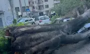 ������ ������� ����� ������ ��� ���������� � ����������