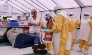 ������ ����� �������� ����� ������ �� ����� �� ���� ���������