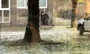 ������ ������ ���� ������: �������� ��� � ������ �����