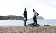 ������ ����� 110 �������� ���� ������� ���� ���� � ������ �� ���� ���������