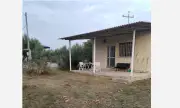 ������ ����� ��������� ��� ���� � ������ (�����)