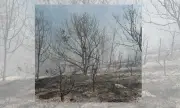 ������ ��������� �������� ������ ���� ����������� � �������