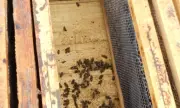 ������ ��������� � ������ ��������� ����������