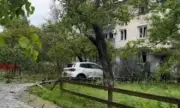 ������ ��������: ���� �������� ���� �� ������ � �������� �����