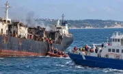 ������ ����� �� ���� �� ���������� �� ALFA WATAN � ����� ����