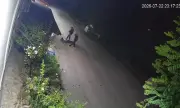 ������ ������ ����� �� ����������� �� ���� �������� - �������� �� 11-��������� �������