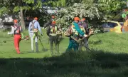 Нова заплаха: Кърлежи и Лаймска болест тормозят столичани