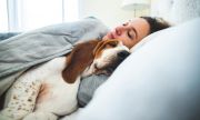 Кучето под завивките е полезно за женското здраве