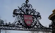 Администрацията на Тръмп ускорява преговорите с Харвард за чуждестранните студенти