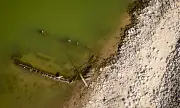 ������ ���������� ���� � ������: � ���� ����������� �� ��������� ���� � ����� ����� ����������