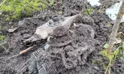 ������ ����������� ����� ������������� �� ��������� �������� �� ����� �������