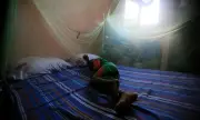 ������ ������: ��� �� �������� �� ������������� ������