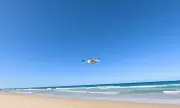 ������ ����� �� ������, ��� ������� ������� �� ���� �� �����: ������� �� �����������