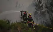 ������ ��������� �� ������� � ���������: ������� �� �����������
