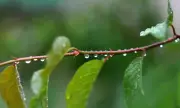   ,   , 14 :  ,       