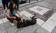 ������ ���������� ������ ������ ����, ����� �� �������� ���� ��������� ������� ���������� �����