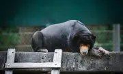 ������ ������ ������� ��������� ����� �� ����� � ������� � ���������